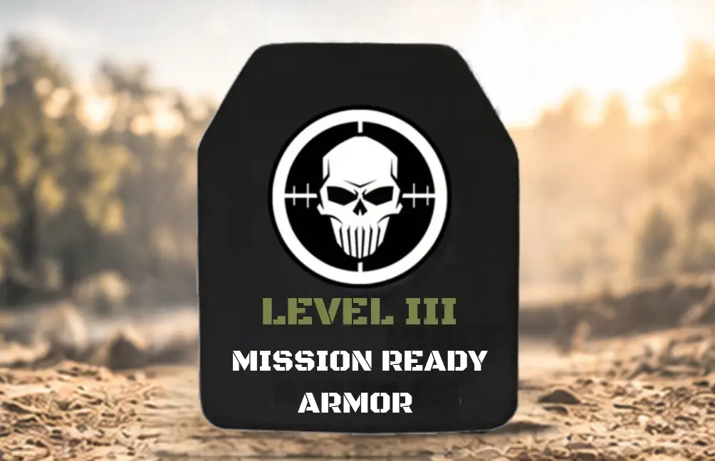 LEVEL 3